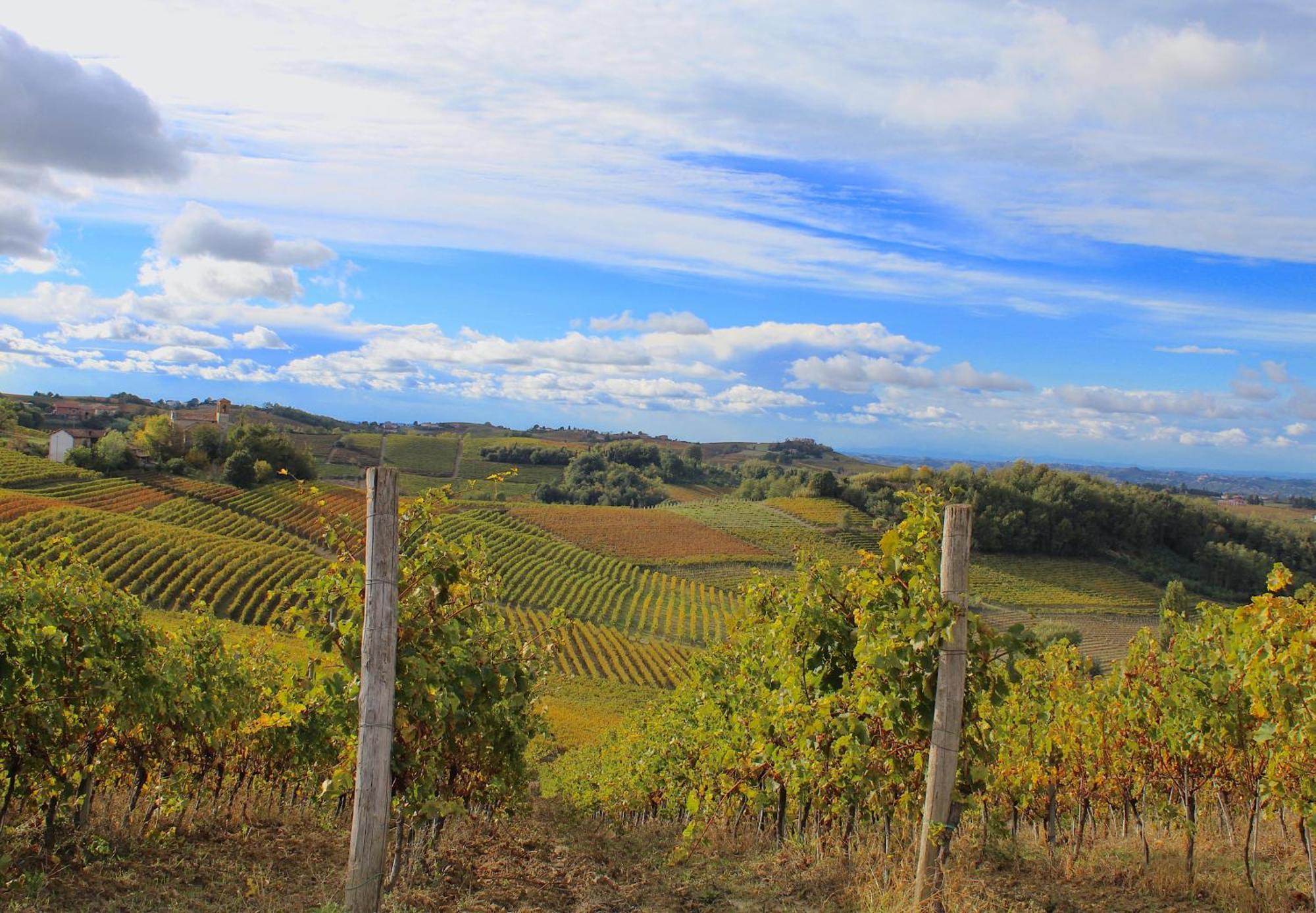 Villa Amazing Langhe And Monferrato | House With Garden Calamandrana Exterior foto